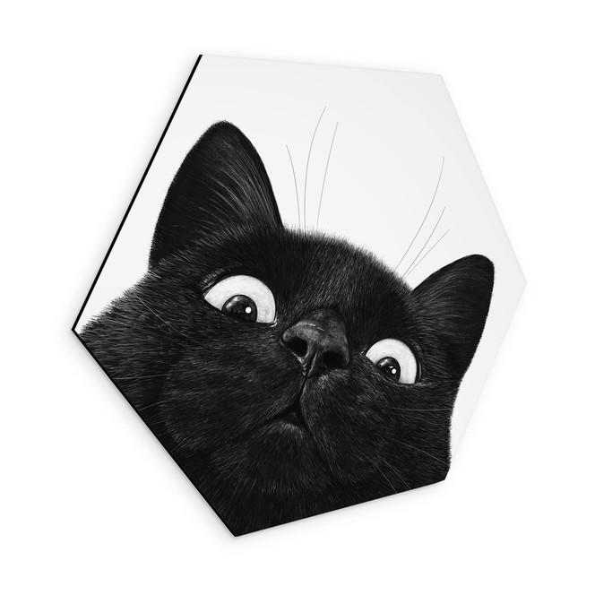 Hexagon Wandbild Lustige schwarze Katze - Korenkova - Alu-Dibond