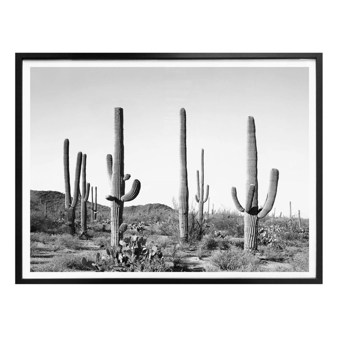 Poster Sisi & Seb - Kakteen in der Wüste