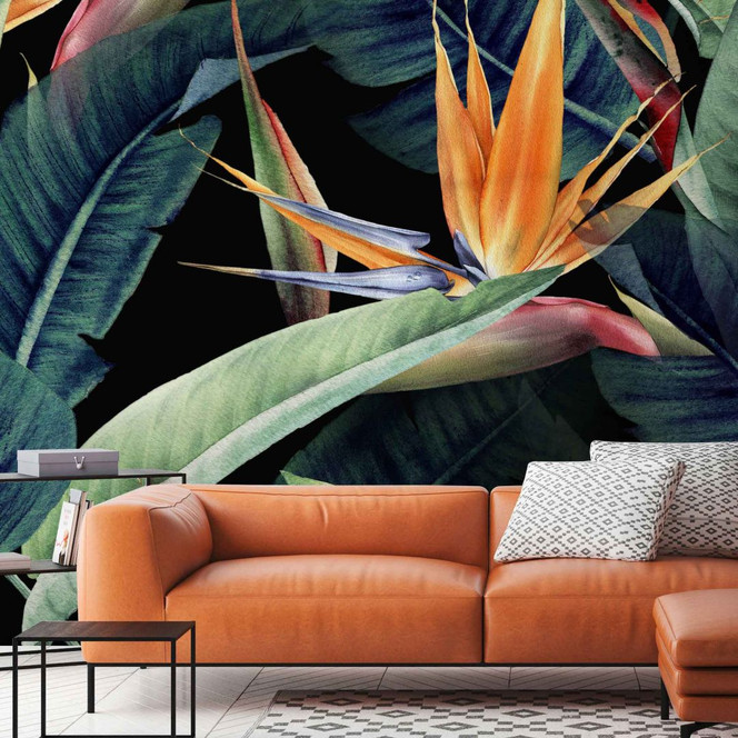 Fototapete Natur Rainforest in schwarz grün - Vliestapete Designwalls 2 - 2.55x3.5 m