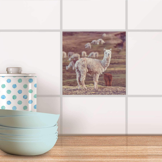 Fliesenaufkleber - Pako