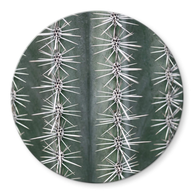 Glasbild 1X Studio - Kaktus - Rund