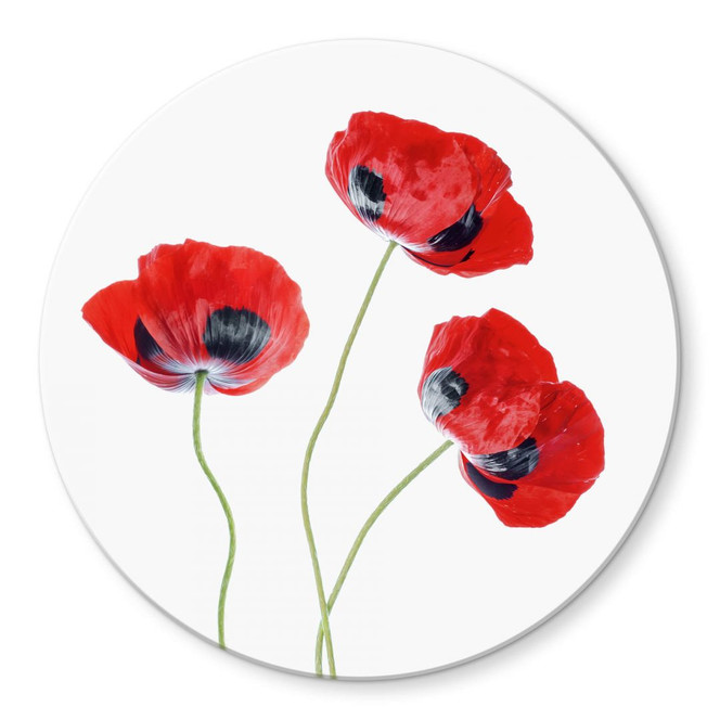 Glasbild Disher - Mohnblumen - Rund