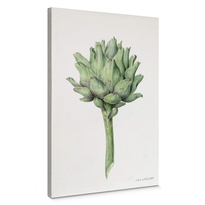 Leinwandbild Bernard - Artischocke