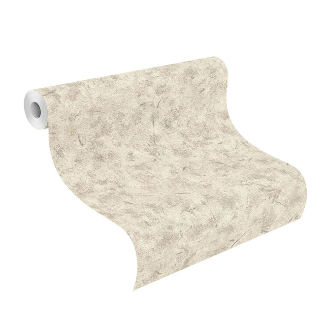 Rasch Vliestapete Andy Wand in Betonoptik greige