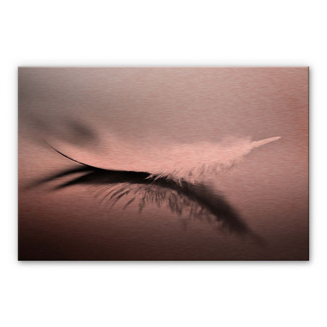 Alu-Dibond Bild mit Kupfereffekt Coutinho - Schwerelos