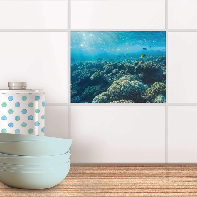 Fliesenfolie - Underwater World