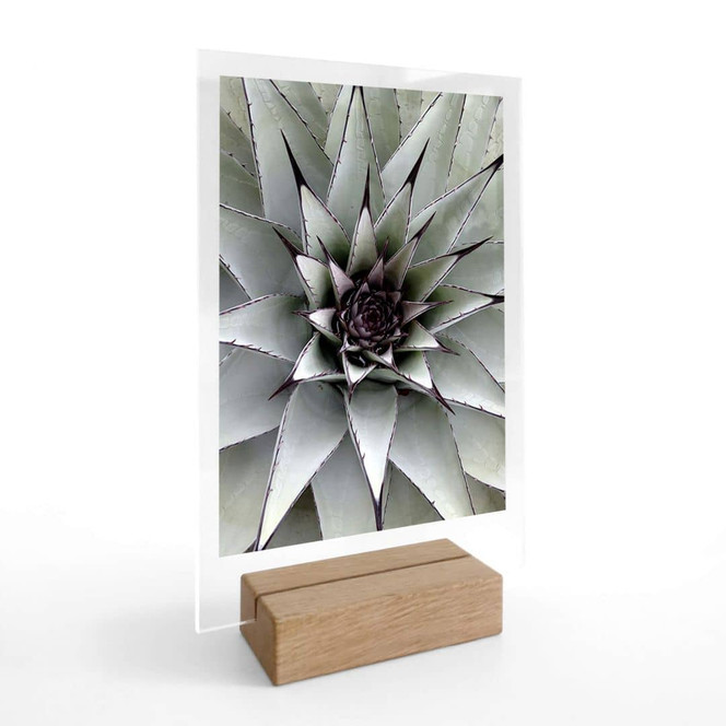 Tischaufsteller Agave 01