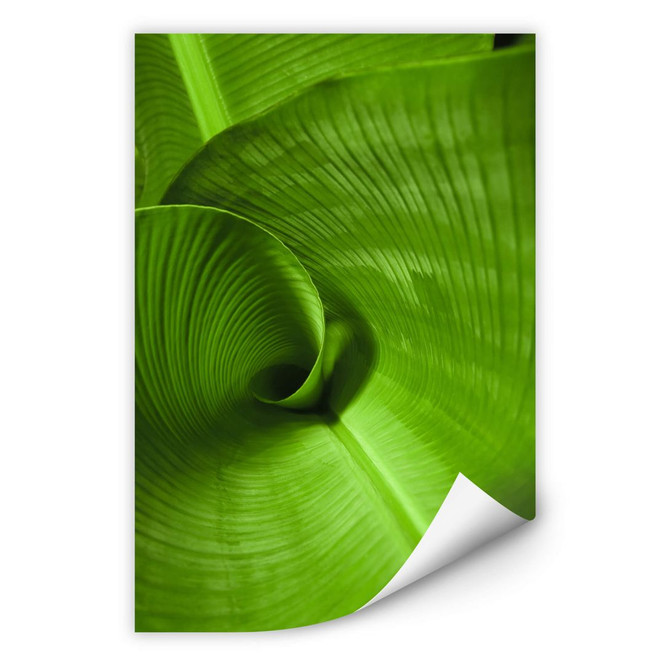 Wallprint Bananenblatt