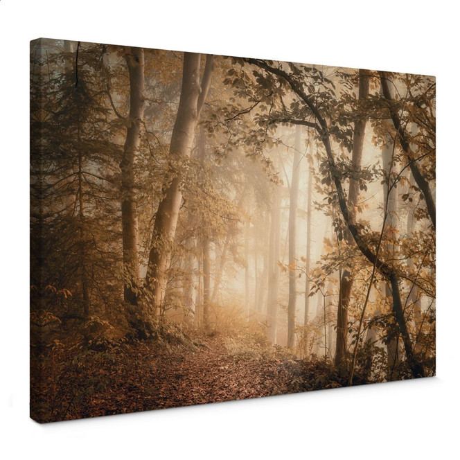 Leinwandbild Wald im morgendlichen Nebel - Maier