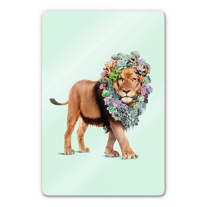 Glasbild Loose - Succulent Lion