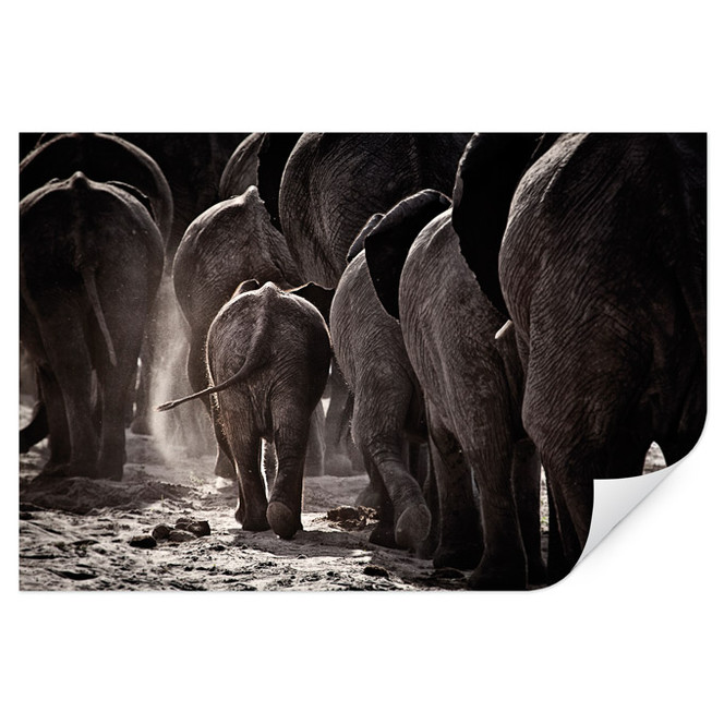 Wallprint McRae - Walking Home