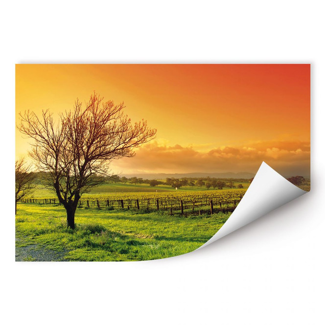 Wallprint Weinlandschaft