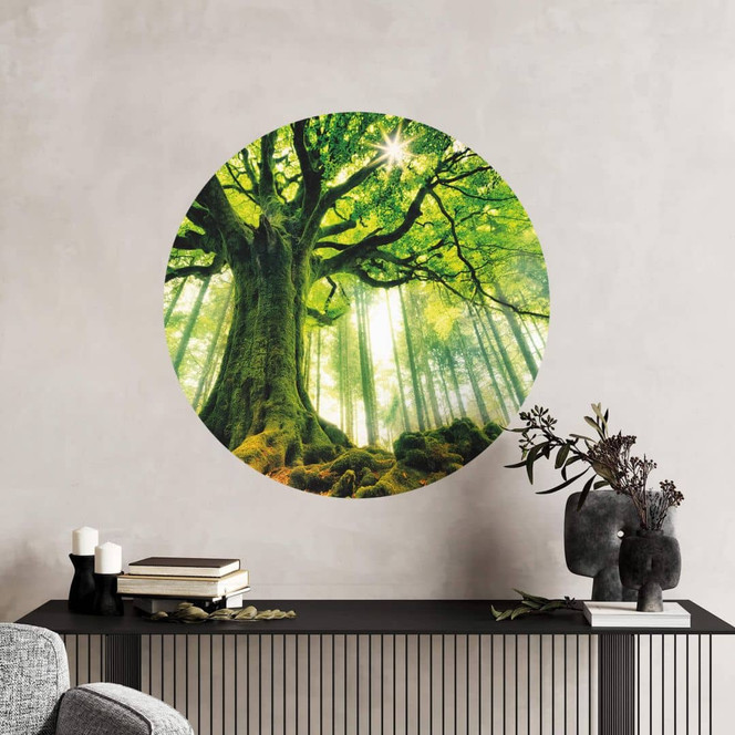Wandtattoo Kiciak - Märchenwald - Rund
