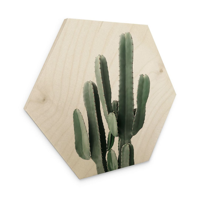 Hexagon-Holzbild Kaktus Pflanze - Sisi & Seb