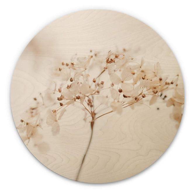 Holzbild 1X Studio - Zweig mit zarten Blüten - Rund