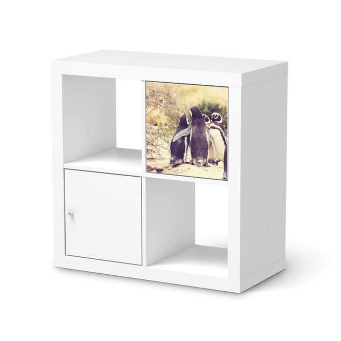 Klebefolie IKEA Expedit Regal Tür einzeln - Pingu Friendship- Bild 1