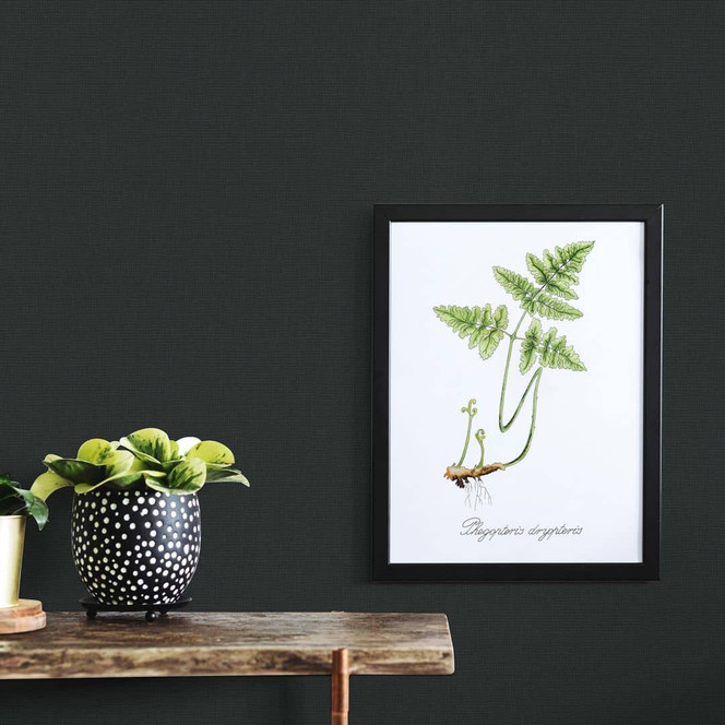 Unitapete, Vliestapete Erismann Martinique schwarz