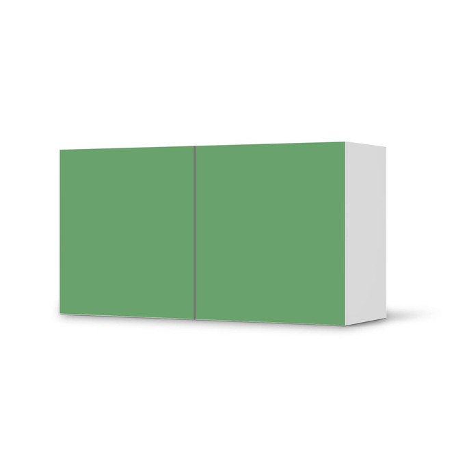 Folie IKEA Besta Regal 2 Türen (quer) - Grün Light- Bild 1