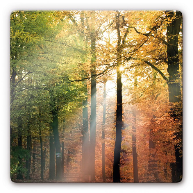 Glasbild Goldener Herbst