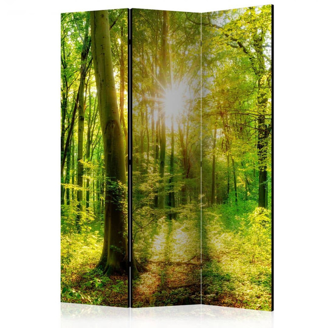 Paravent, Raumteiler freistehend, Trennwand - Wald-Strahlen