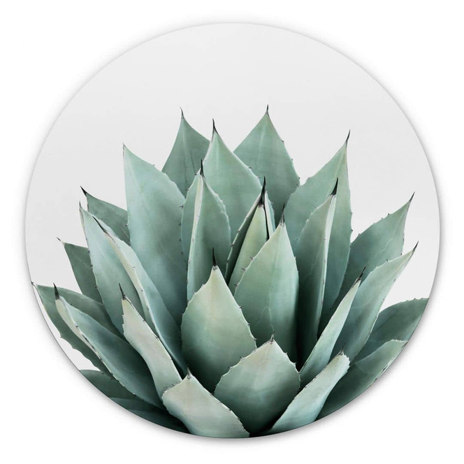 Alu-Dibond Sisi & Seb - Sukkulente - Rund