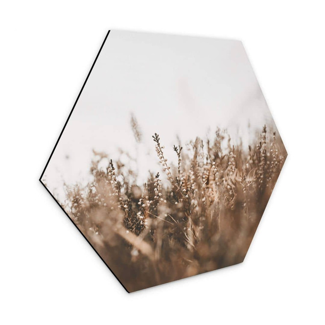 Hexagon - Alu-Dibond Annie - Wiesengräser