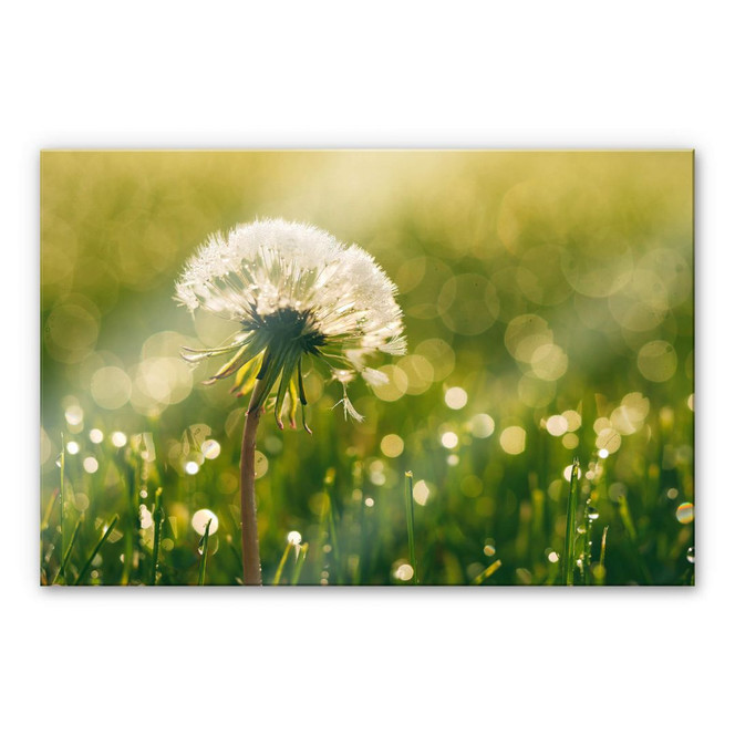 Acrylglasbild After Rain