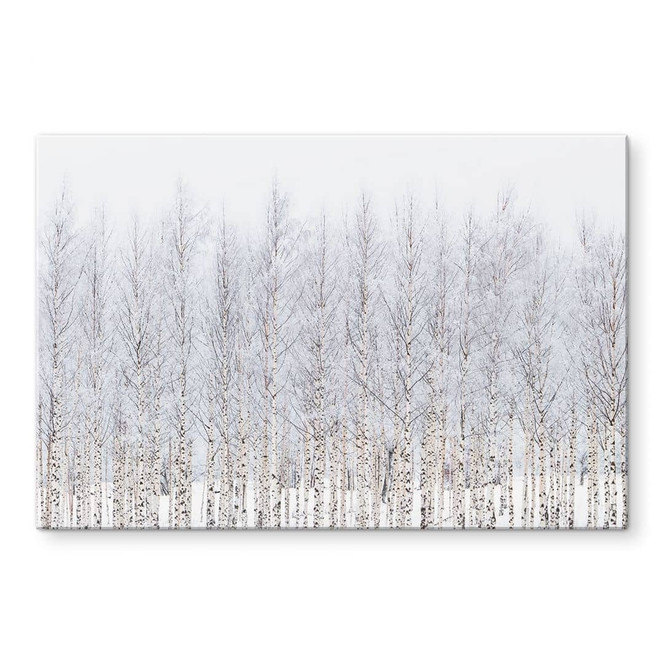 Acrylglasbild Birkenwald im Winter - EMELIEmaria