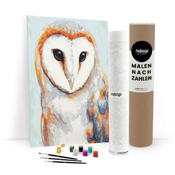 Malen nach Zahlen Leinwandbild - Eule anmutige Schleiereule
