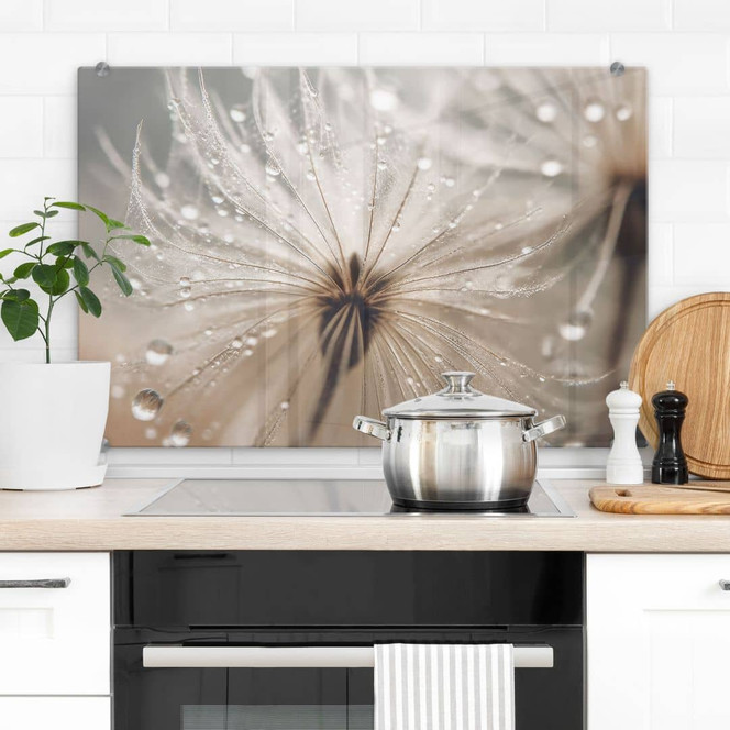 Spritzschutz Pusteblume in Morgentau - Treechild - Bild - 1