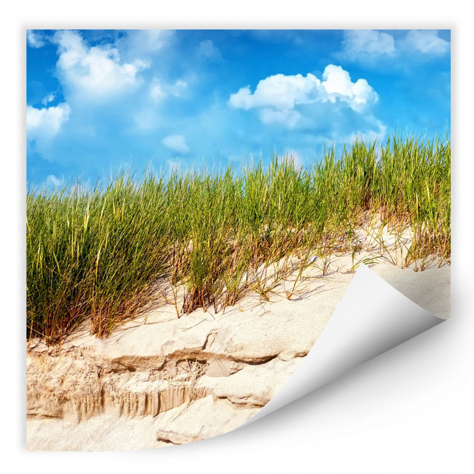 Wallprint Ostsee Dünenlandschaft