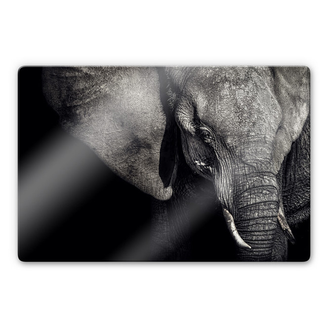 Glasbild Flour - Matriarchin