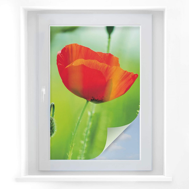 Sichtschutzfolie Mohnblume