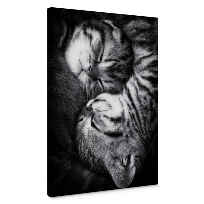 Leinwand Jancova - Sweet Kitten