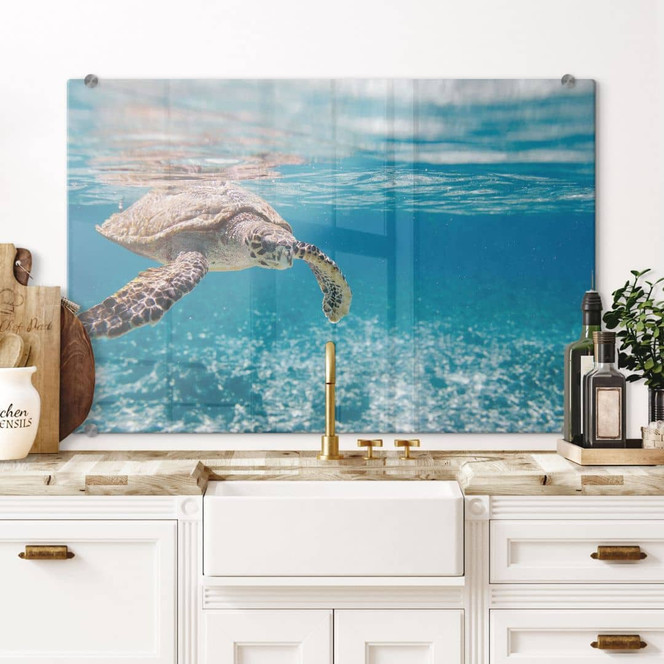 Spritzschutz Schildkröte auf Reisen