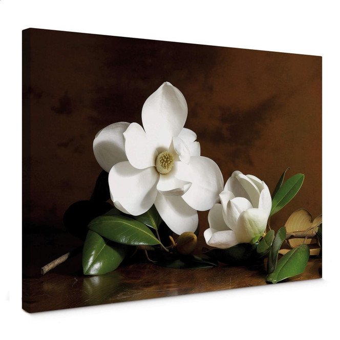 Leinwandbild Magnolienzweig mit Blättern