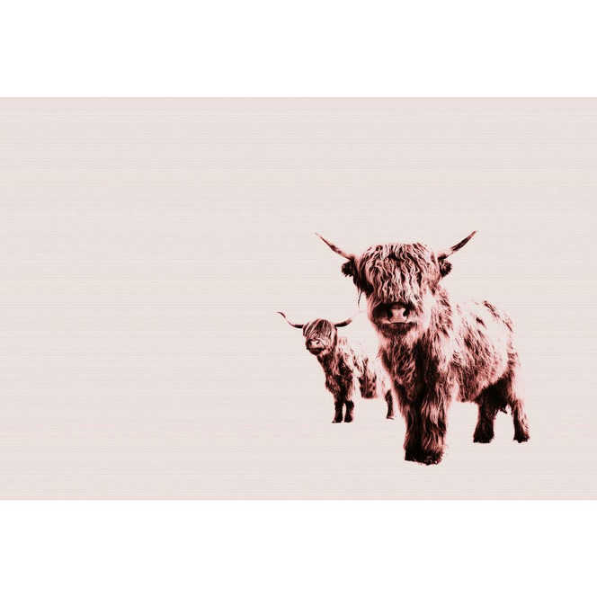 Livingwalls Fototapete ARTist Highland Cows mit Hochland Rindern beige, rosa - Bild 1