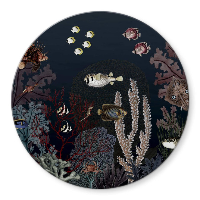 Glasbild Sir Edward - Tief im Ozean - Rund