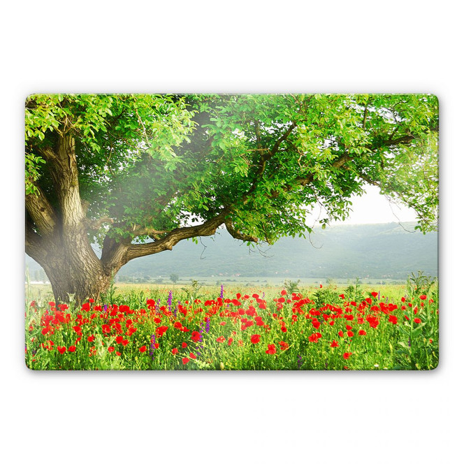 Glasbild Sommererwachen