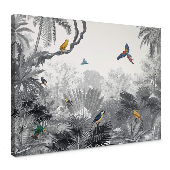 Leinwandbild Kikki Belle - Tropische Vögel schwarz-weiss