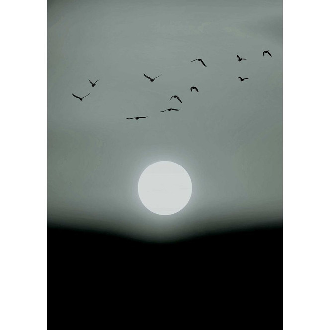 Livingwalls Fototapete ARTist Winter Lights Winter Stimmung grau, schwarz, weiss - Bild 1