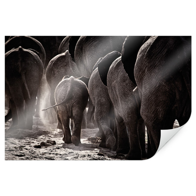 Poster McRae - Walking Home