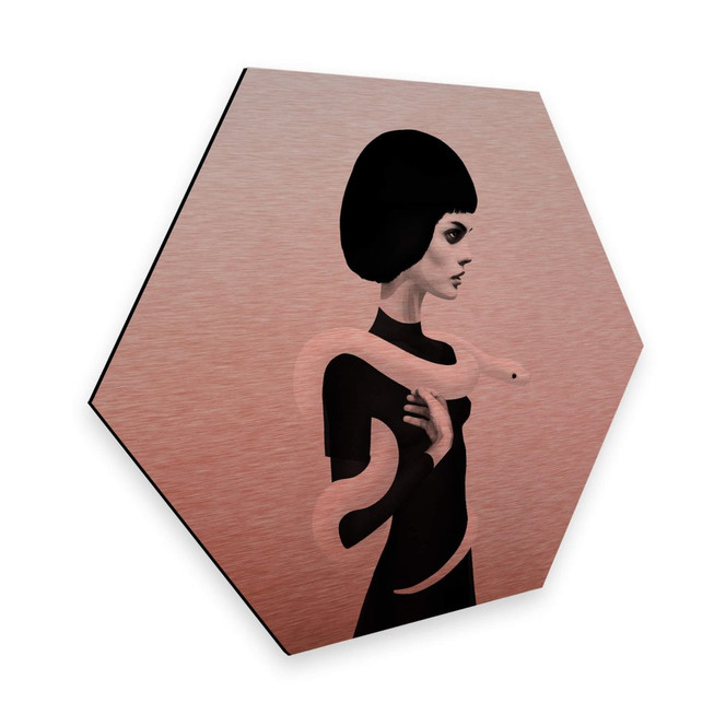 Hexagon - Alu-Dibond-Kupfereffekt Ireland - Only Skin