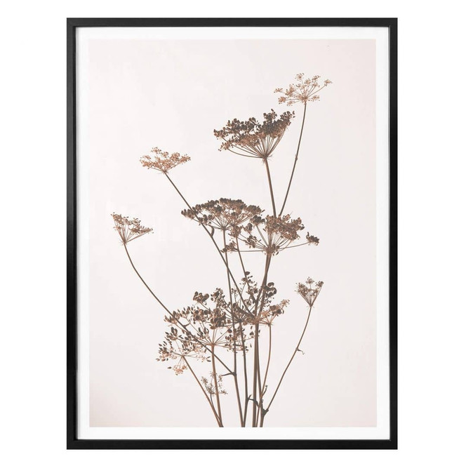 Poster Wilde Gräser