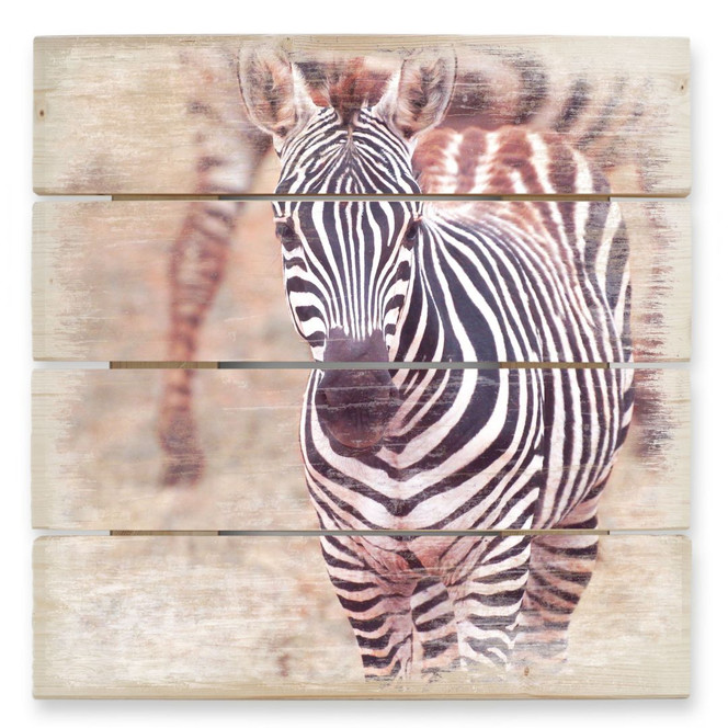 Holzbild Zebra Fohlen - 40 x 41.5 cm