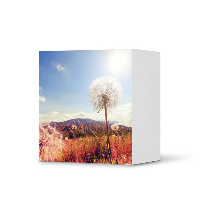 Klebefolie IKEA Besta Regal 1 Türe - Dandelion- Bild 1