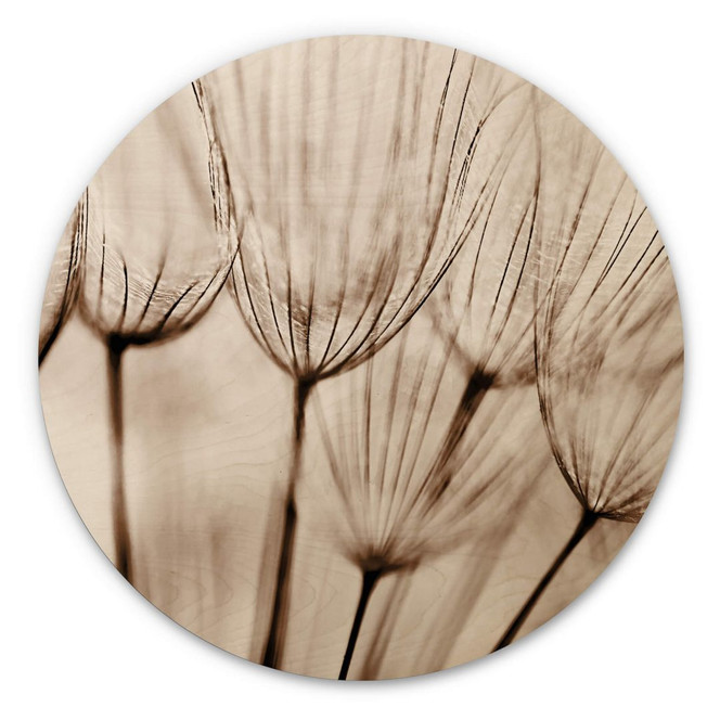 Holzbild Fliegerschirmchen - Rund