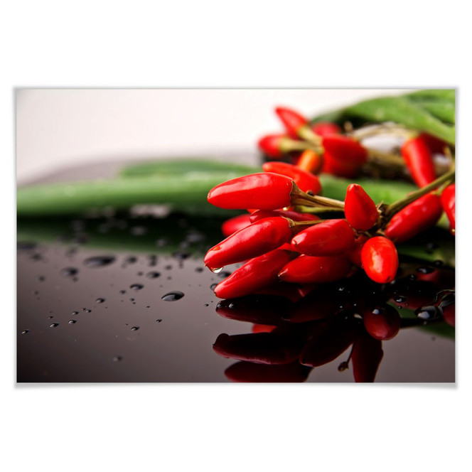 Poster Exotische Schärfe