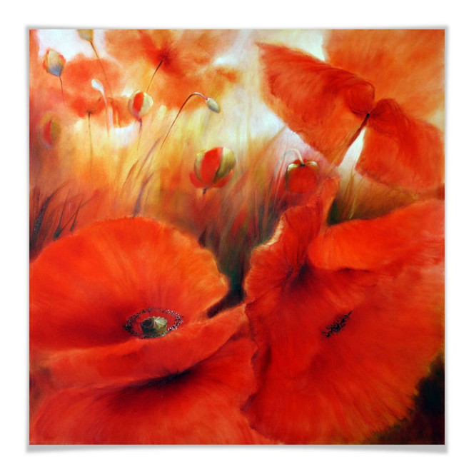 Poster Schmucker - Roter Mohn