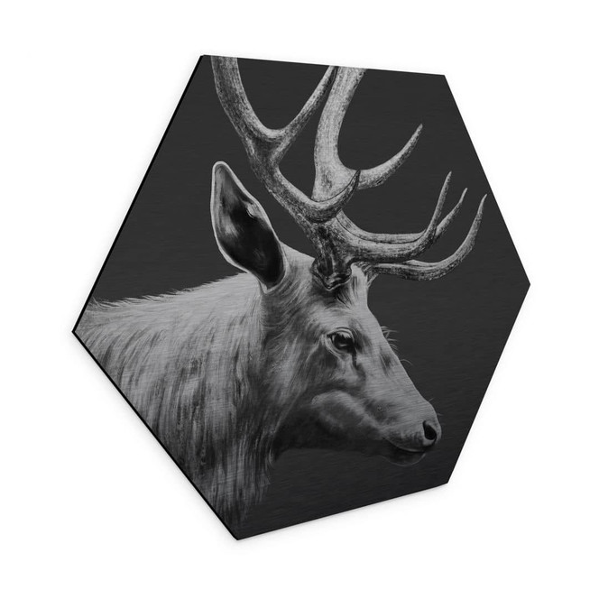Alu-Dibond mit Silbereffekt Hirsch mit Geweih schwarz-weiss - Roberg - Hexagon